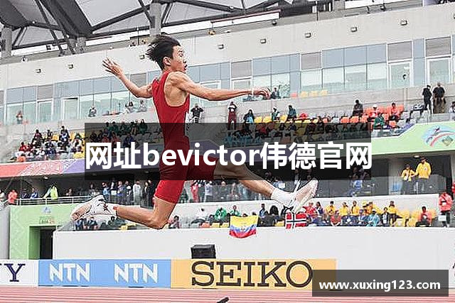 网址bevictor伟德官网